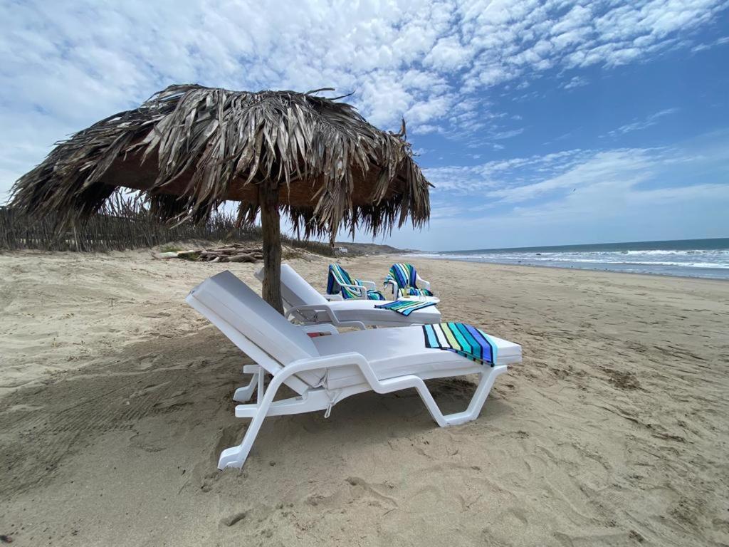 Wallac Bungalows Canoas De Punta Sal Luaran gambar